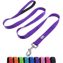 PenSeepet Basic Dog Leashes 6 FT Padded Handle Nylon Dogs Leashes for Medium Dogs Purple