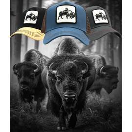 Gorra de Hombre Beisbol Visera Curva Parche Animales Trucker Camionero Malla Transpirable Ajustable y Juvenil para Deportes Aire Libre, Regalo Unisex, Accesorio Moda (MX/US, Alfa, Talla única, AZUL1)