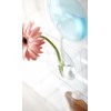 +d Flower Base Kaki Blue DA-1050-BL [Floating Vase in Air]
