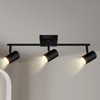 AUQUEE 3 Light Track Lighting Fixtures Ceiling, Black LED Track