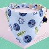 Faygarsle 2 Pack Blueberry Pattern Cat Collar Set with Bandana