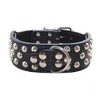 haoyueer 2" Width 3 Rows Silver Rivets Studded Leather Dog