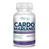 Cardo Mariano 200 Capsulas