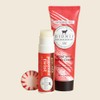 Dionis bálsamo labial y set de regalo de crema de