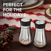 Stainless Steel Salt and Pepper Shaker Set with Glass Bottom,