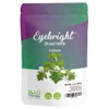 Solo Therapy Eyebright Herb 2 oz, Eufrasia, Euphrasia Officinalis Dried