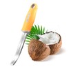 BAMI-LEE House Coconut Meat Remover Knife,Coconut Tool,Coconut Meat Removal Tool