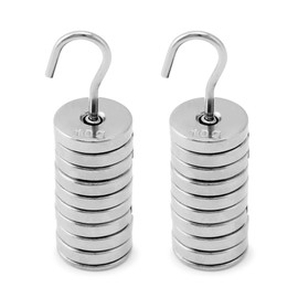 QWORK Lab Slotted Mass Set, 2 Set of Chromium-Plated Metal Slotted Weights, One Set - Total 100g - Includes 9 Weights (10g Each) & One Hanger (10g)