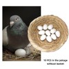 Solid Fake Eggs Dummy Pigeon Eggs for Guiding Racing Pigeons,