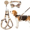 BINGPET Dog Harness, Collar, Leash Set, Dog Harness, Easy to