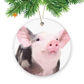Bonitos adornos para árbol de Navidad para el hogar, amigos, familia, colgantes decorativos, recuerdo, un lindo cerdo alegre