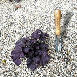 Garden Guru Hand Weeder Trowel FSCWEEDTROW – Desbrozadora 5 en 1 de Acero Inoxidable