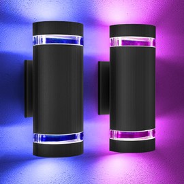 WISELUME Up and Down Outdoor Wall Lights- Outdoor Lighting Fixtures,RGB Color Changing, App & Voice Control, ETL Listed, Front Door Light Fixture 6500K, Smart Exterior Lights for House, Porch, Garage