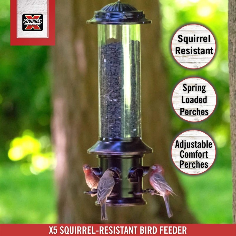 More Birds 100534168 X-5 Squirrel-X5 Feeder, 3-Lb Capacity, Brown