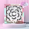 Losha Lashes Wispy False Eyelashes Natural Look Fluffy Eye Lashes