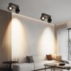 Budbuddy 2 x 12 W LED Ceiling Light Spotlight Black