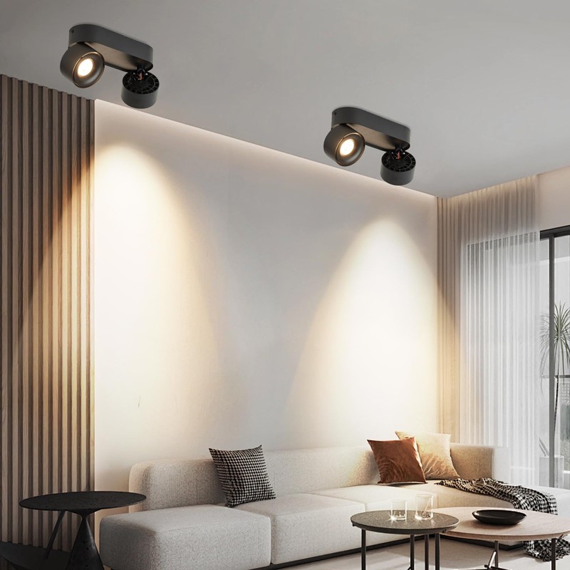 Budbuddy 2 x 12 W LED Ceiling Light Spotlight Black