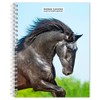 Horse Lovers | 2026 6 x 7.75 Inch Spiral-Bound Wire-O