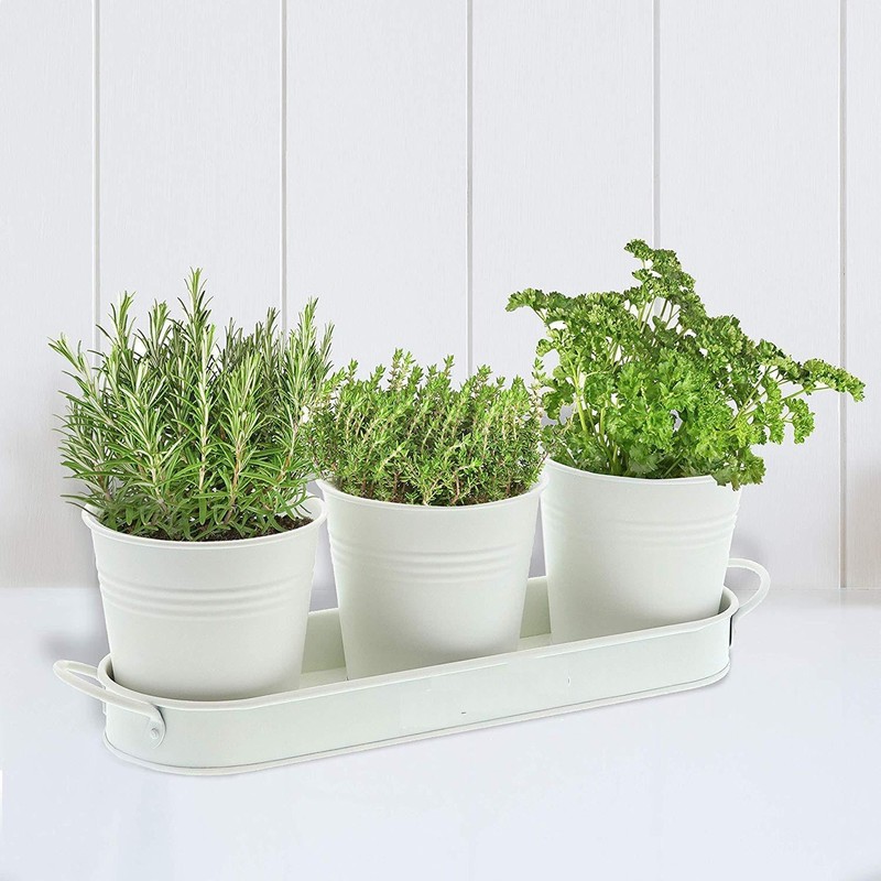 MoFarbe Herb Pots for Kitchen & Windowsill | Kitchen Herb