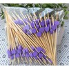 AILEXI Cocktail Sticks 100 Counts Wooden Toothpicks Party Supplies Frill