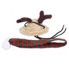Bearded Dragon Santa Hat Cute Soft Scarf Adjustable Size Bright
