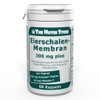 Egg Shell Membrane 300 mg Plus Capsules Pack of 60
