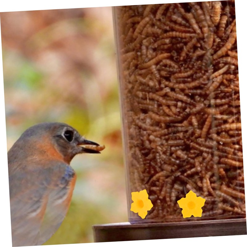 FUNOMOCYA Plastic Bird Feeder Flower Accessories Replacement Parts for Wild-Bird