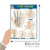 The Hand QuickStudy Laminated Reference Guide (QuickStudy Academic)