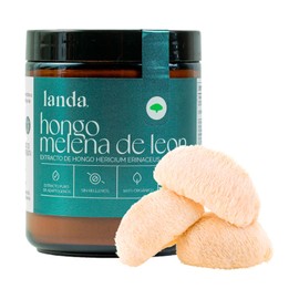 LANDA  Extracto en Polvo de Melena de León Orgánico 100g  Orgánico 101  Potente Apoyo Cognitivo  Neuroprotector  Mejora Memoria  Concentración  Salud 