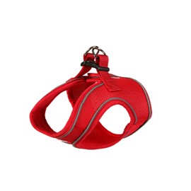 Doodlebone Snappy Harness, Ruby, 6