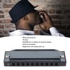 Blues Harmonica C Key 10 Holes Diatonic Mouthorgan Wind Instrument
