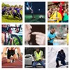 Wrzbest Sports Referee Coach Whistle，Bulk Dolphin Shape Pealess Plastic Whistles