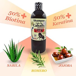 NCREDIBLE Shampoo Cola de Caballo Concentrado Sin Sal, Caballada, Anticaída, Fortalecedor, Crecimiento Acelerado, Vitamina B5, Aceite de Coco, Unisex-