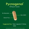 Bestvite Pycnogenol 100 Cápsulas Estearatos