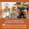 OUT! Go Here Dog Attractant, Pet Potty Training Spray, Indoor