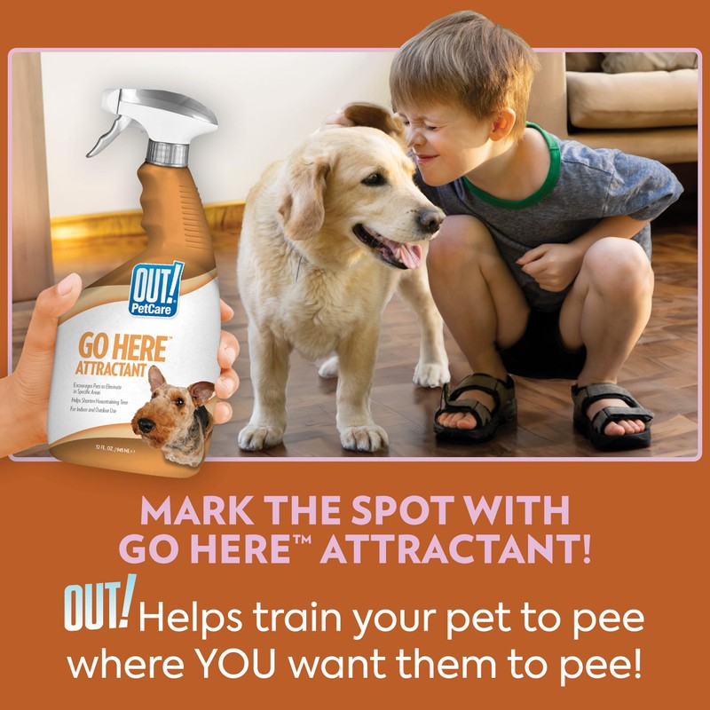 OUT! Go Here Dog Attractant, Pet Potty Training Spray, Indoor