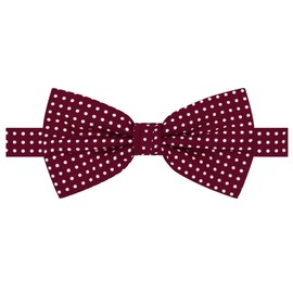 Jacob Alexander Polka Dot Print Men's Polka Dotted Pretied Bowtie - Burgundy