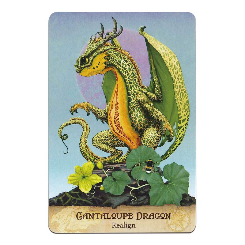 Oracle Card Divination Field Guide To The Garden Dragons