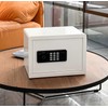 AEGIS Small Biometric Safe with Fingerprint Lock (9.9"D x 13.8"W