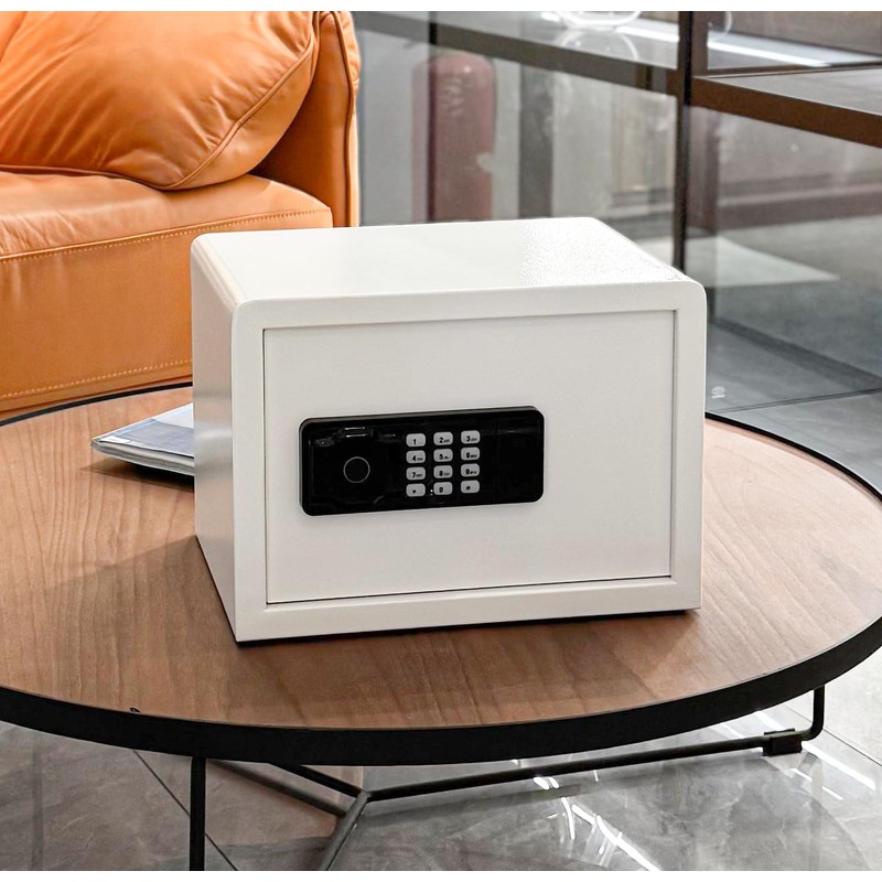 AEGIS Small Biometric Safe with Fingerprint Lock (9.9"D x 13.8"W