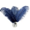 Happy Feather 16-18 inch Navy Blue Ostrich Feathers Craft for