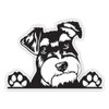 DK339 Cute Miniature Schnauzer Stickers 15 x 11 cm Hide