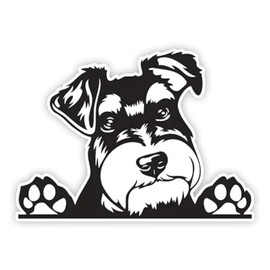 DK339 Cute Miniature Schnauzer Stickers 15 x 11 cm Hide Scratch Stickers for RV Laptop Rear Wind Protection Gift for Dog Lovers Pack of 2
