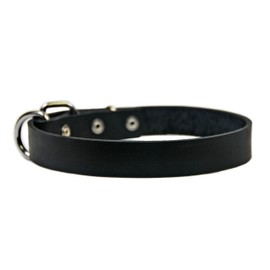 Dean and Tyler "B and B", Basic Leather Dog Collar with Strong Nickel Hardware - Black - Size 12-Inch by 3/4-Inch - Fits Neck 10-Inch to 14-Inch