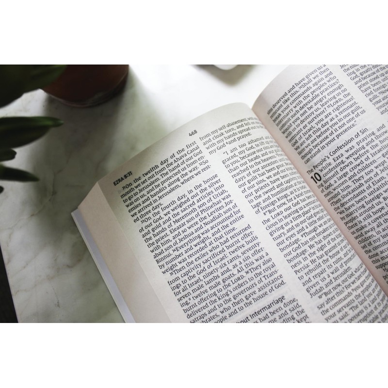 NIV, Holy Bible, Larger Print, Economy Edition, Paperback, Blue, Comfort