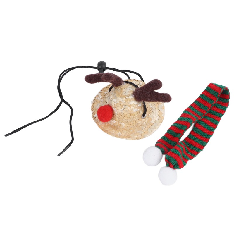 Bearded Dragon Santa Hat Cute Soft Scarf Adjustable Size Bright