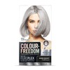 Colour Freedom Metallic Silver Blonde Permanent Hair Dye with PurePlex.