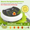 Quail Egg Incubator for Hatching 40 Quail Eggs with Automatic