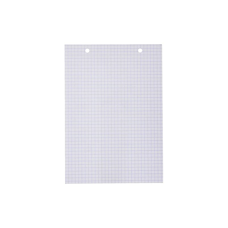 Exacompta - Ref 10608E - Bristol Squared & Punched Record