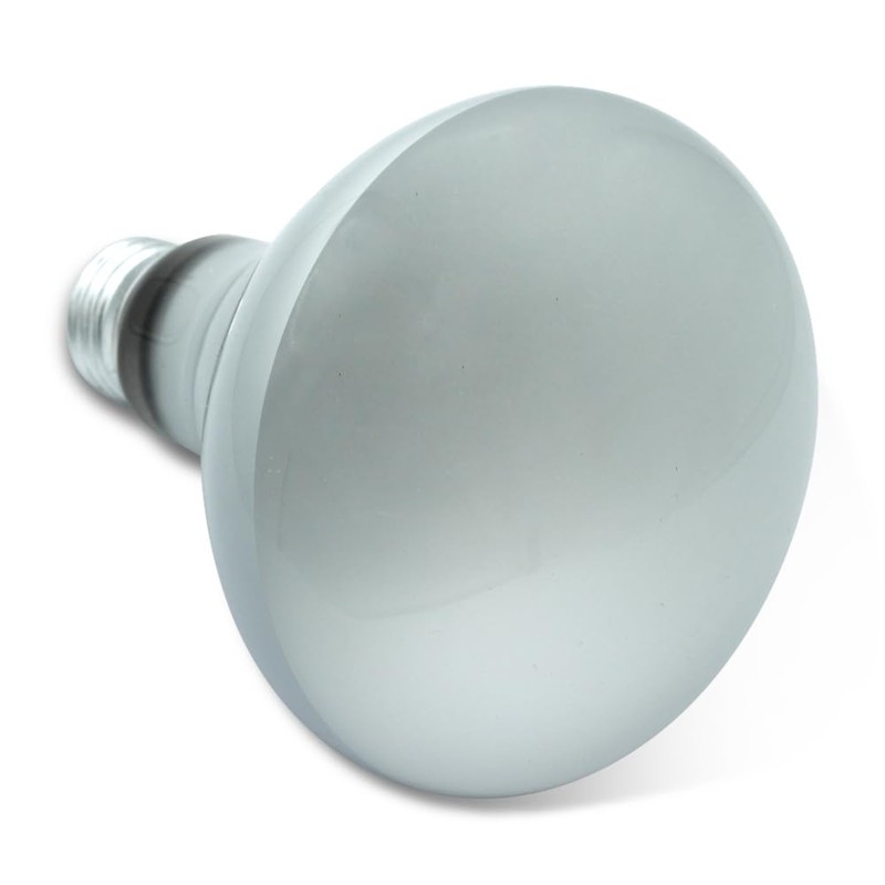 Technical Precision Replacement for Satco S3408 Light Bulb 4 Pack